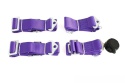 Pasy sportowe 4 punktowe 2" Quick purple