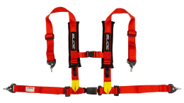 Pasy sportowe 4 punktowe 2